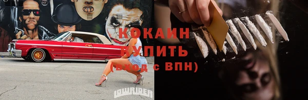 мдпв Михайловск