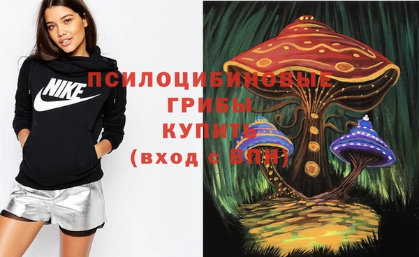 mdpv Орехово-Зуево