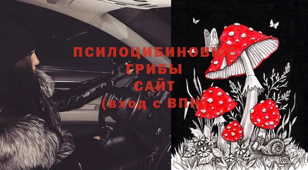 a pvp Медвежьегорск