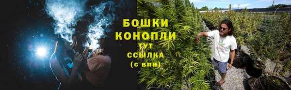 тгк Медногорск