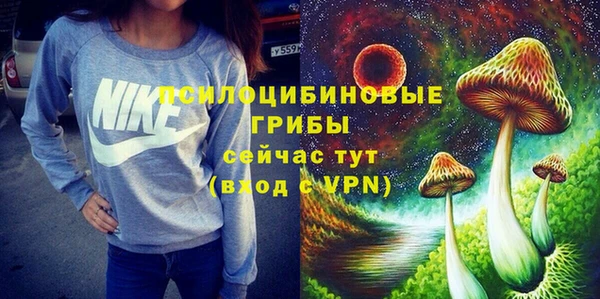 мдпв Михайловск