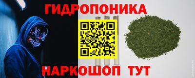 мдпв Гусь-Хрустальный