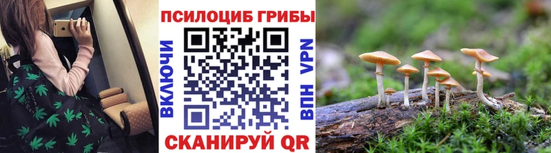 Псилоцибиновые грибы ЛСД  darknet как зайти  KRAKEN как войти  Котельники  наркота 