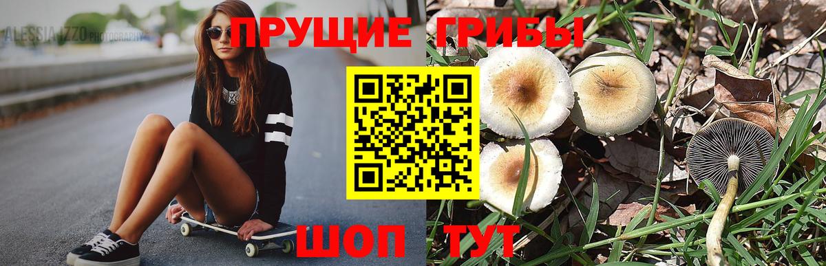 Псилоцибиновые грибы мицелий Котельники