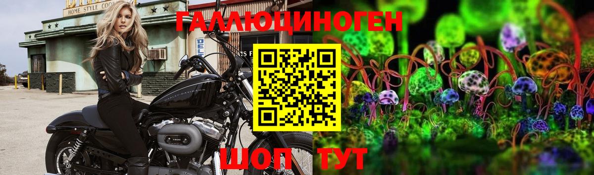 Псилоцибиновые грибы прущие грибы Котельники