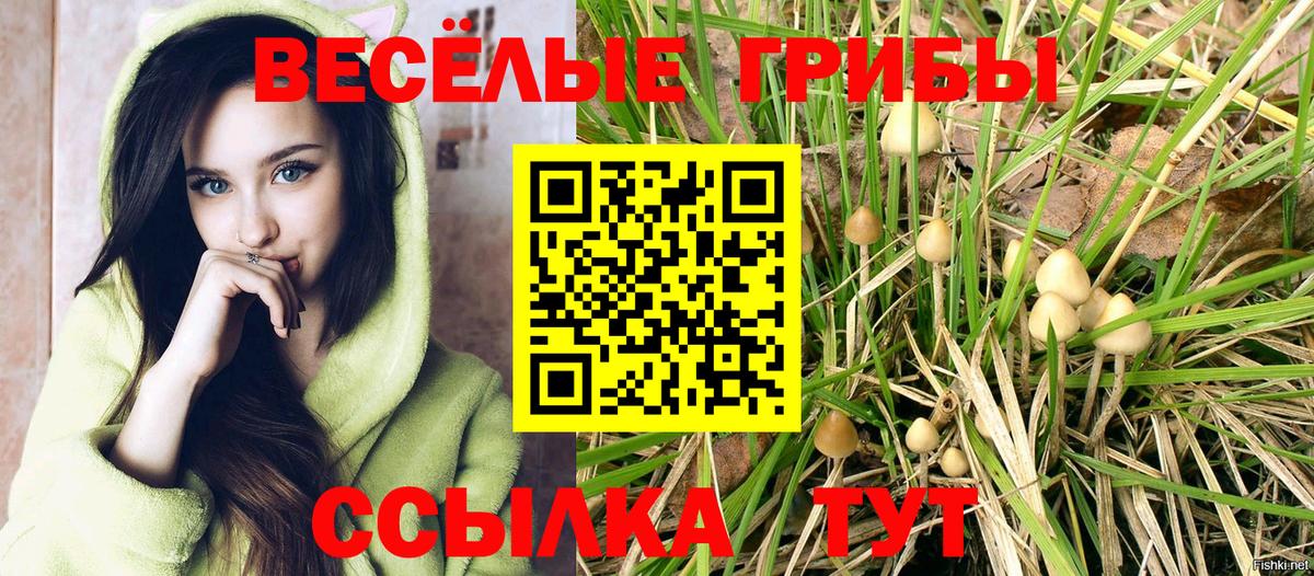 Псилоцибиновые грибы мухоморы  Котельники 